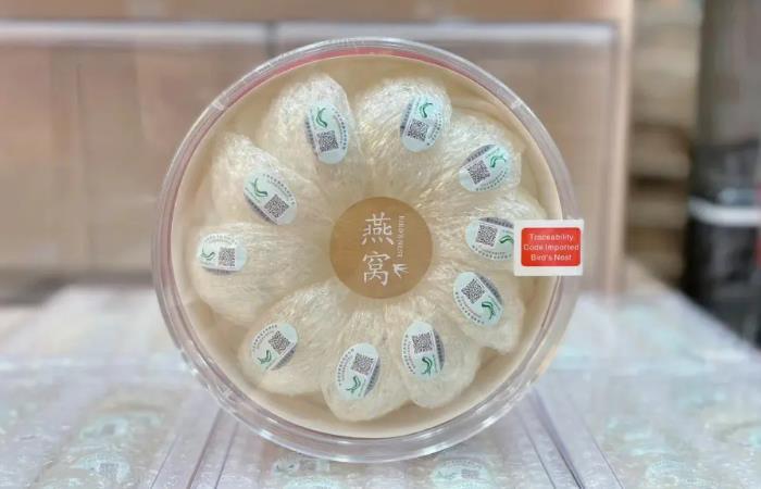红毛镇燕窝回收
